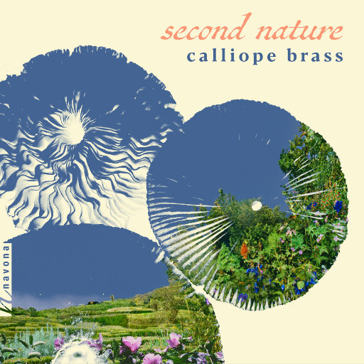 干逼逼视频小说
